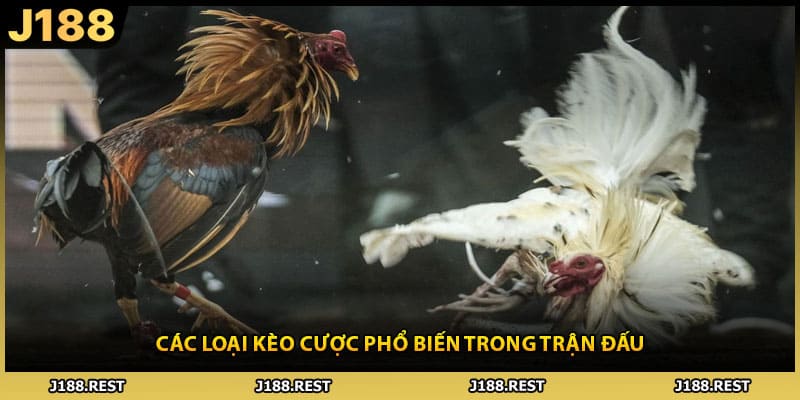 Các loại kèo cược phổ biến trong trận đấu