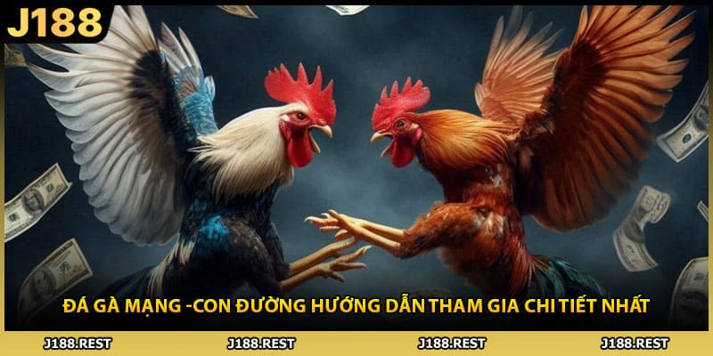 Đá Gà Mạng -Con Đường Hướng Dẫn Tham Gia Chi Tiết Nhất