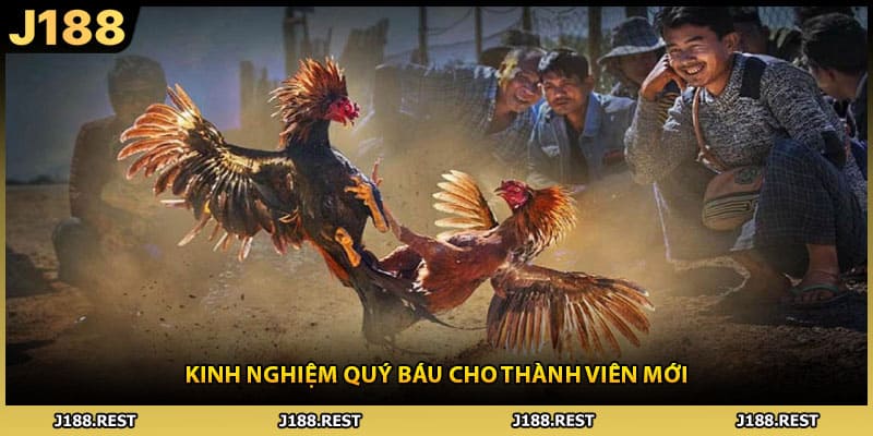 Kinh nghiệm quý báu cho thành viên mới