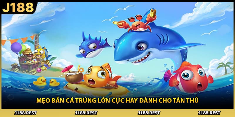 Mẹo Bắn Cá Trúng Lớn Cực Hay Dành Cho Tân Thủ