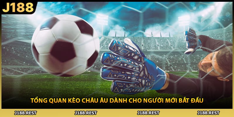 Tổng quan kèo châu Âu dành cho người mới bắt đầu